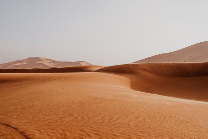 Sandy dune in arid desert