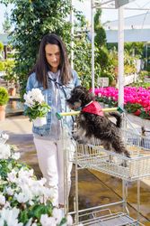Female customer with dog in florist shop