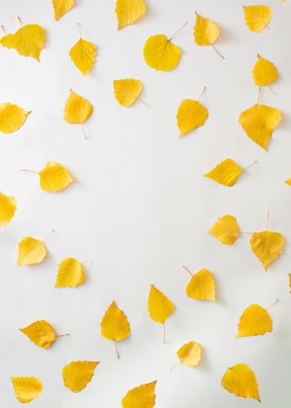 Pattern of yellow leaves with copy space in the center