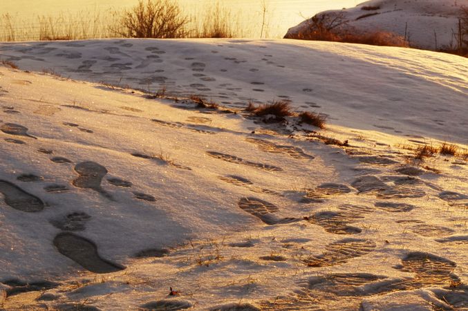 Rocky peaceful shore with snow crust in sunrays