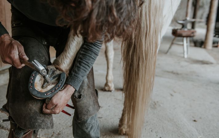 Crop farrier cleaning horse hoof