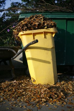 Garbage bin full of fall leaves
