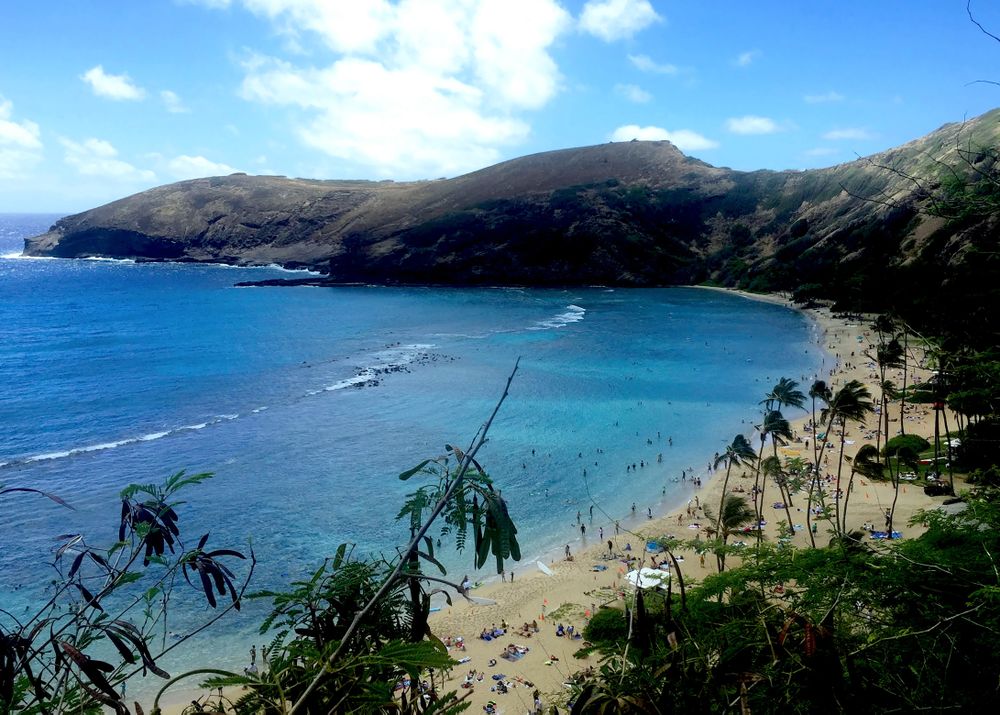 Sunny Serenity: Overlooking Hanauma Bay on a Blissful Day