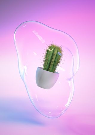 Cactus plant with soap bubble and blue and pink neon background