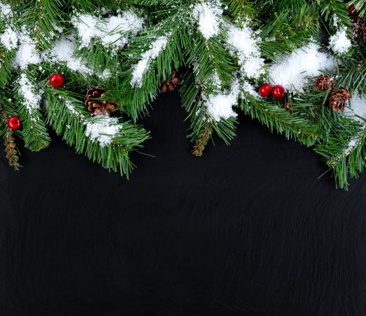 Top Border of Snowy evergreen tree branches on stone background