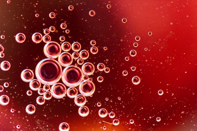 Abstract pink and red water bubbles