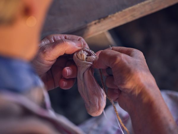 Anonymous man sewing beef intestines