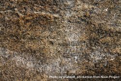 Texture of brown rock 4dppa4