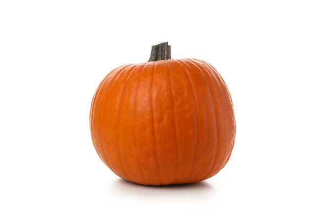 One fresh pumpkin isolated on plain background