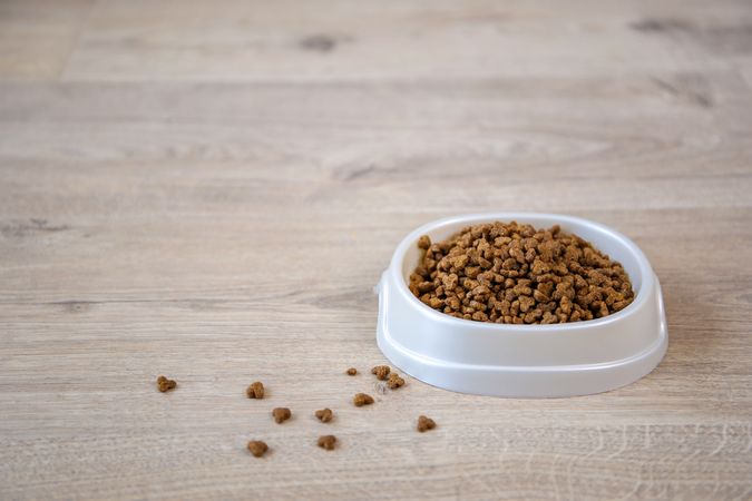 Dry food for cats and dogs.