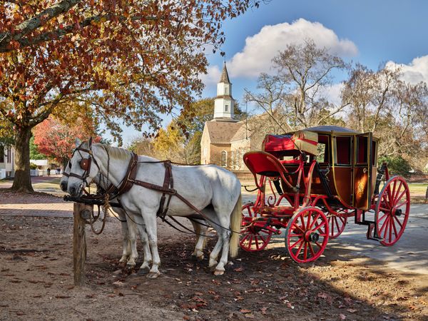 Two white horses parked with red carriage in Colonial Williamsburg, Virginia