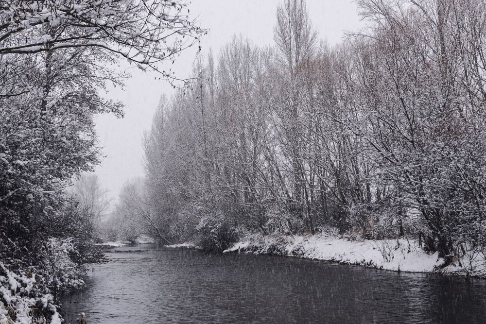 River streaming between snow forest