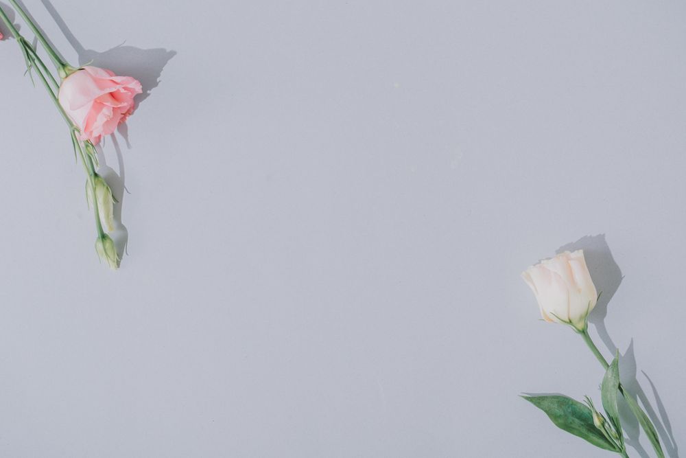 Creative flat lay composition with spring flowers and gray background