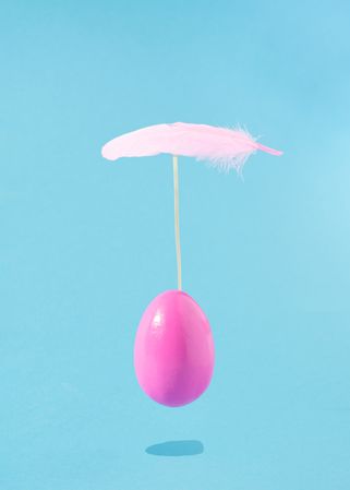 Egg on blue background attached to feather