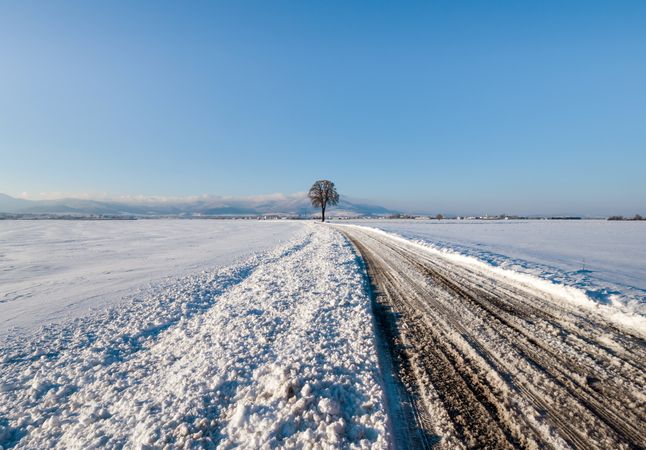 Snowy road in the fields of Alsace. Sunny winter day.