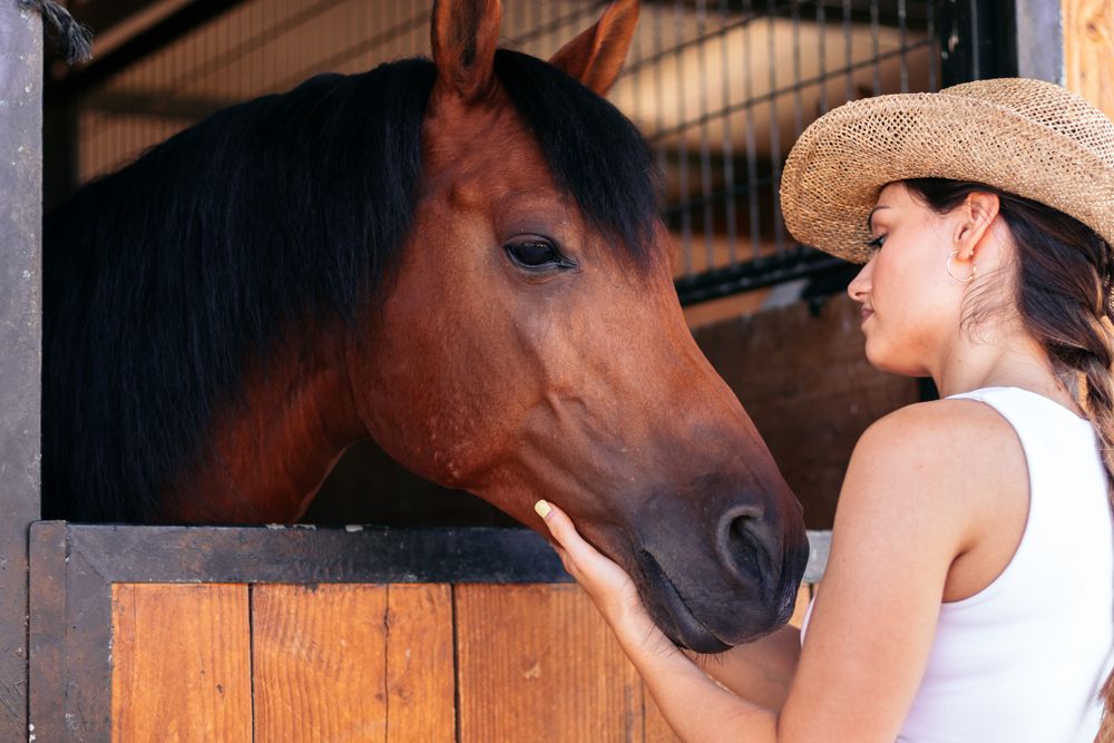 Woman taking care of his brown horse in the stable