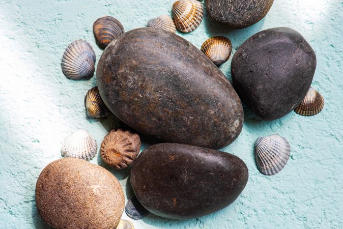 Large rocks and seashells on blue background