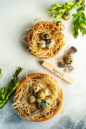 Easter card concept with top view of two small bird nests
