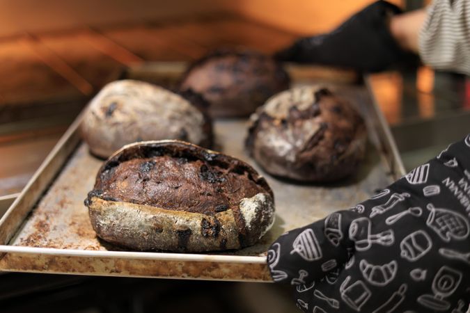 Professional Baker Removing Three Freshly Brownie Rustic Baked Sourdough Bread
