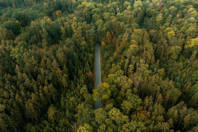 Aerial view in the morning with a single lane road
