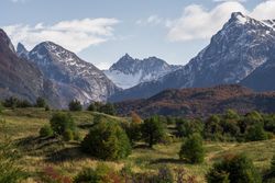 Bushy green trees in valley at foot of mountains
