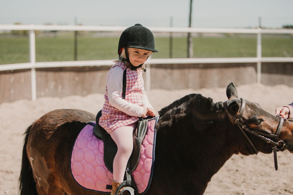 Little girl riding horse on hippodrome