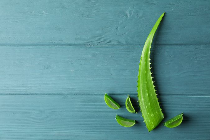 Aloe vera leaf and slices on wooden table, space for text. Natural treatment
