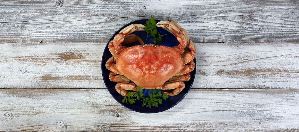 Overhead view of a single cooked large Dungeness crab on dark blue plate with wooden table underneath