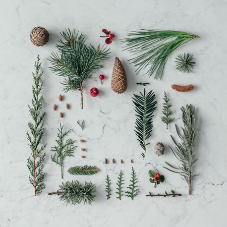 Creative layout made of winter branches, on marble background