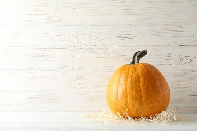 Pumpkin on wooden background, space for text