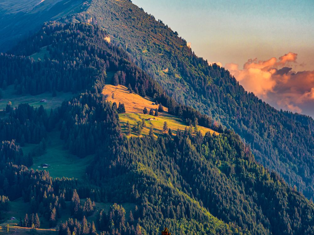 Alpine Swiss Village. Comfort and tranquility.