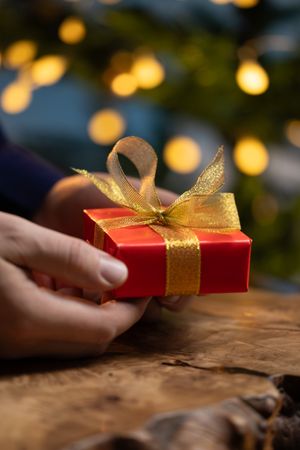 Man holding Christmas gift by tree