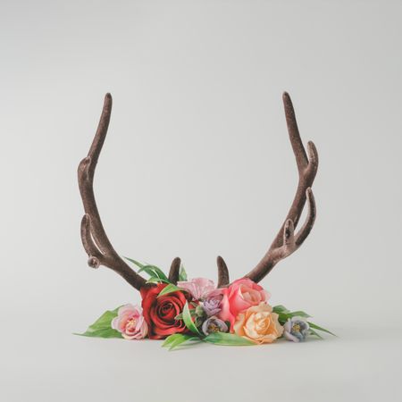 Reindeer antlers with colorful flowers and leaves on bright background