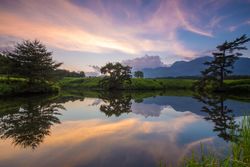Green trees beside lake during golden hour with reflection on water