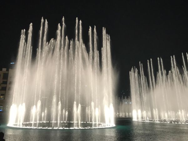 Water fountain during night time