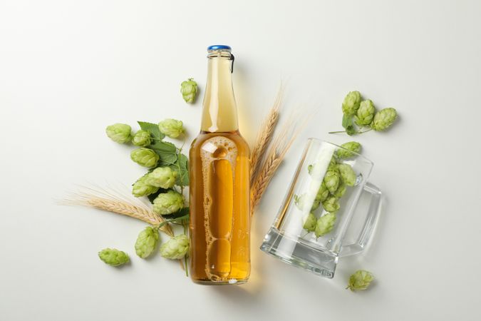 Wheat, hop and beer on light background