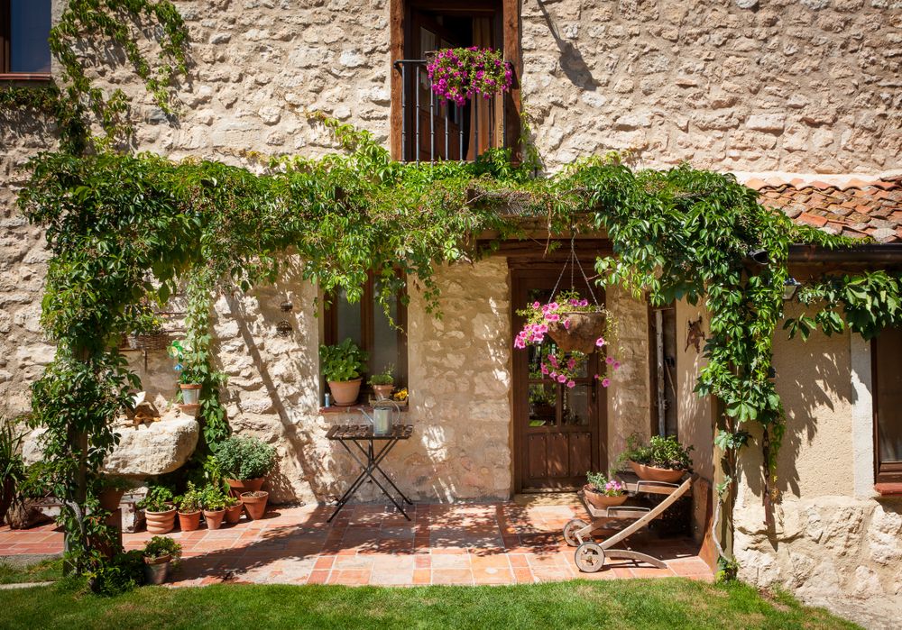 Beautiful patio of house with green foliage