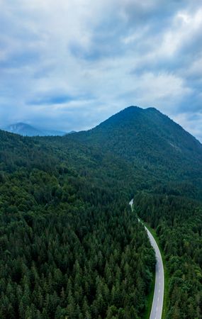Drone aerial view with winding road passing through pine forest in Bavarian Alps, Germany