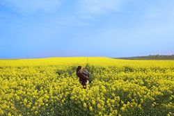 Woman holding her baby in yellow field