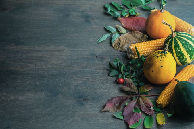 Top view of mini squashes and corn with autumn leaves on wooden table with copy space