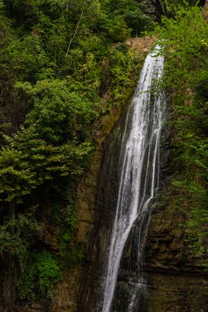 Waterfall in lush woods