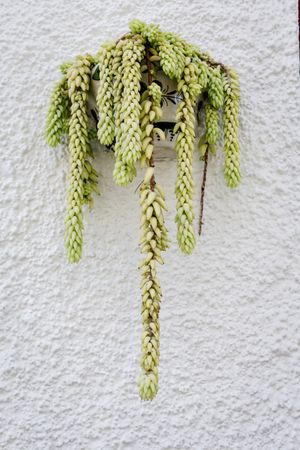 Typical Andalusian Spanish villages