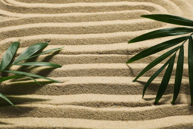 Composition for Zen, Relaxation, Harmony and Balance concept