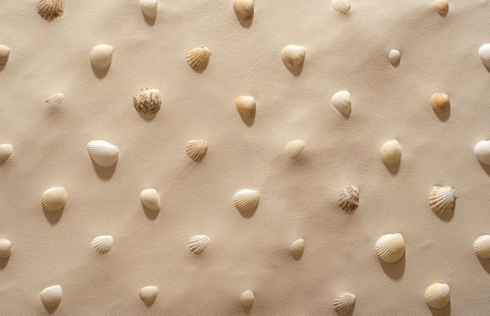 Summer background with shells and sand