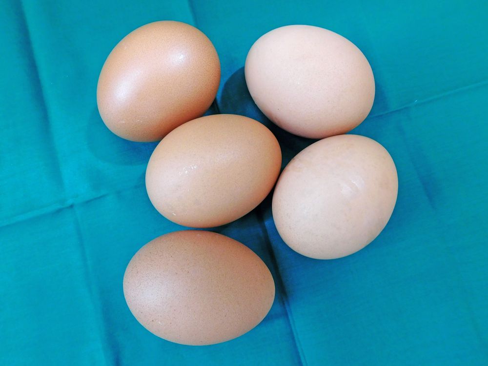 Cooking Eggs On Background