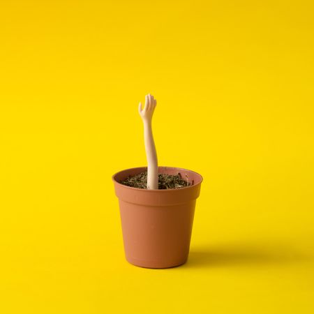 Doll hand reaching out of flower pot on yellow background