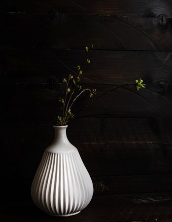 Decorative branch in vase in dark studio