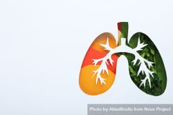 Lung shape cut out of paper with bronchus and green and orange color underneath with copy space 5pJBwb