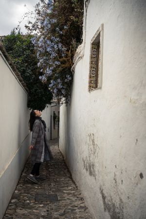 Joyful female tourist in casual wear amid city street