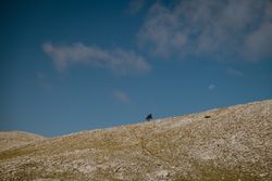 Landscape with hill and moon in blue sky